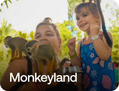 Monkeyland